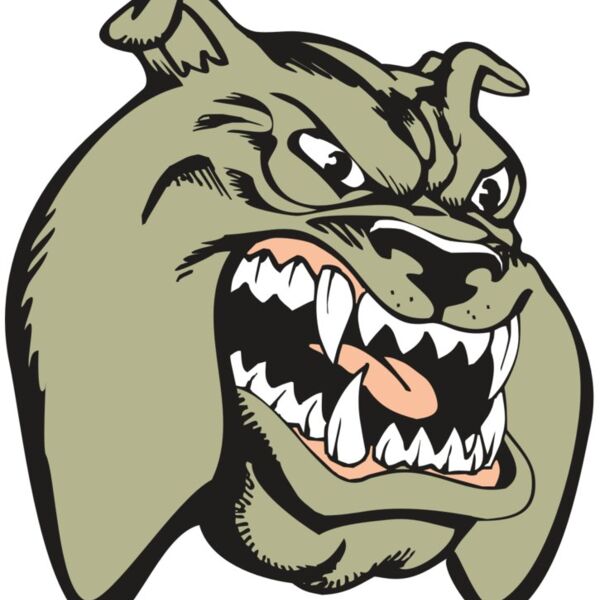 BAW BULLDOG 03 RC Thumbnail