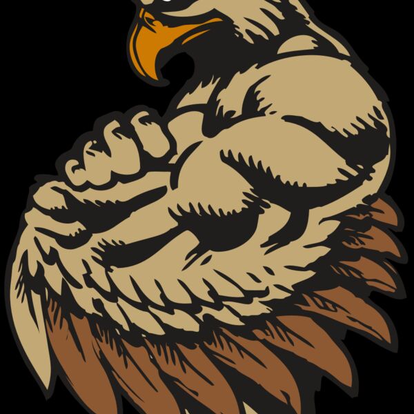 BAW HWK FLCN 02 RC Thumbnail