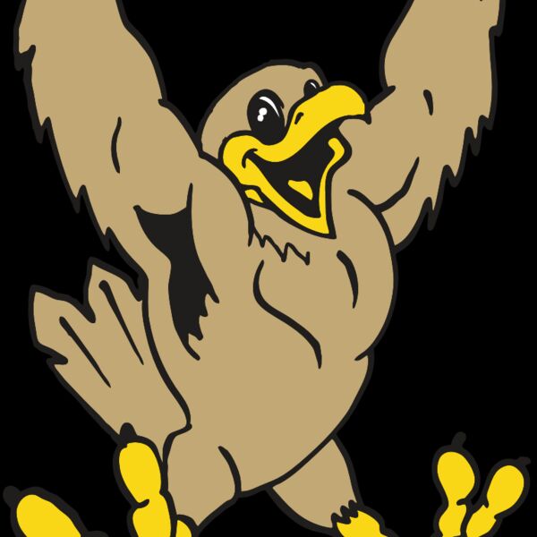 AR EAGLE 21 RC Thumbnail