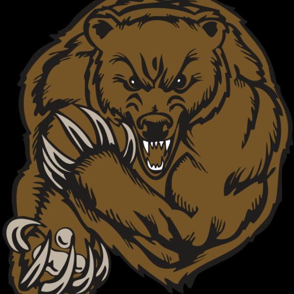 BAW BEAR 07 RC Thumbnail