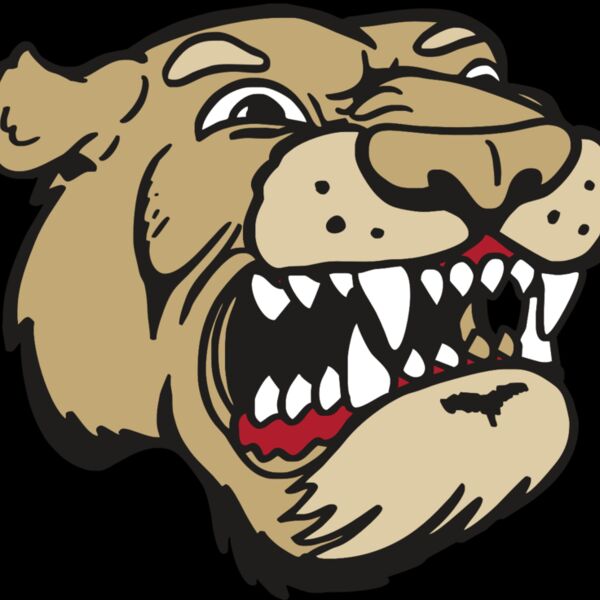 AR5 COUGAR 04 RQC Thumbnail