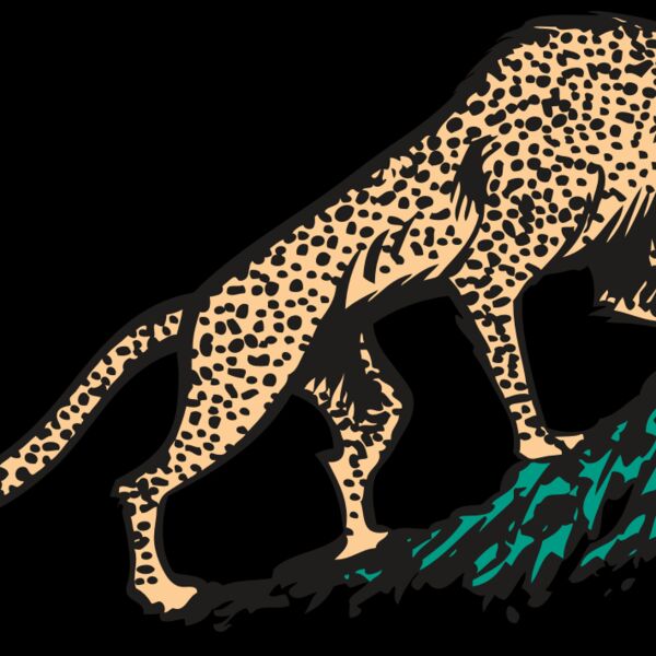 AR CHEETAH 02 RC Thumbnail