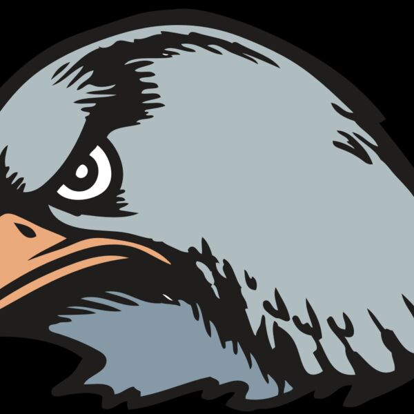 BAW HWK FLCN 03 RC Thumbnail