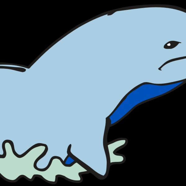 AR DOLPIN 14 RC Thumbnail