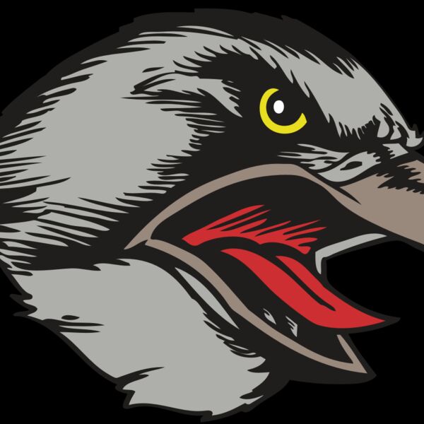 BAW HWK FLCN 13 RC Thumbnail