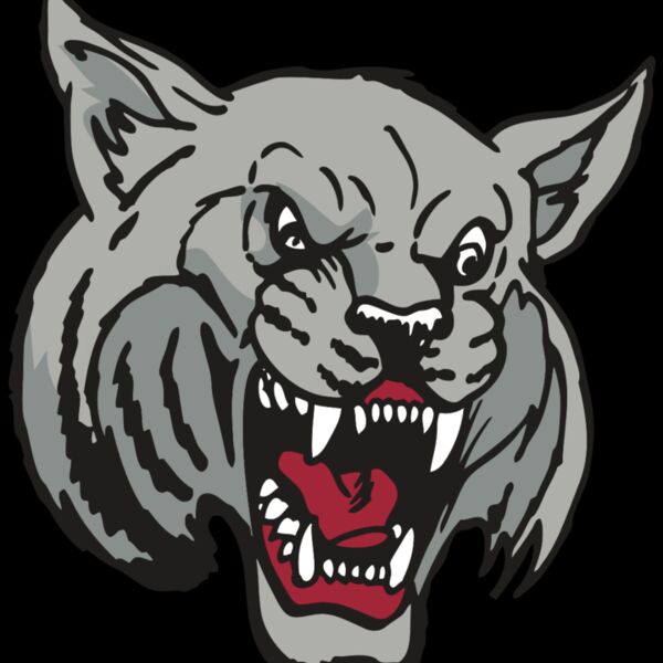 AR WILDCAT 42 RC Thumbnail