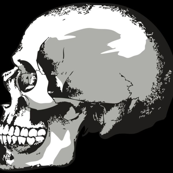 AR24 SKULL 02 RQC Thumbnail