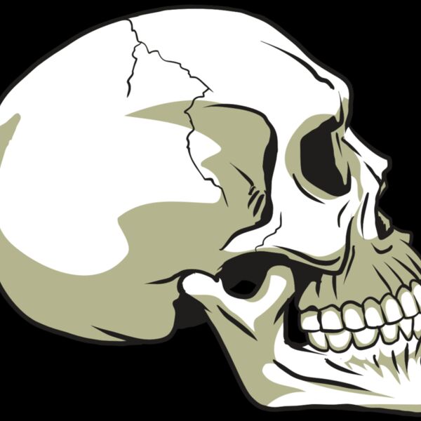 AR24 SKULL 12 RQC Thumbnail