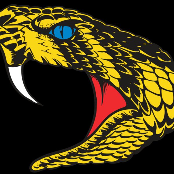 BAW SNAKE 06 RC Thumbnail