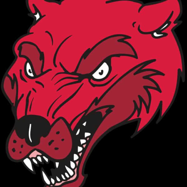 AR5 Wolverine 12 RQC Thumbnail