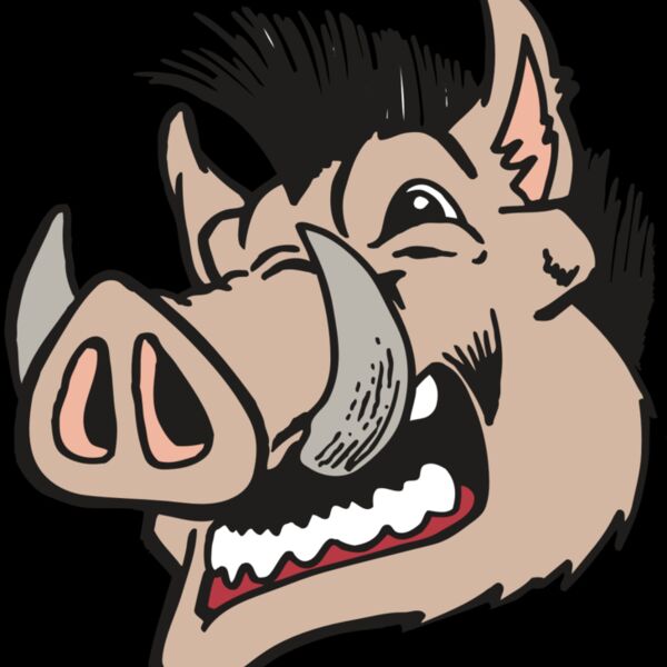 AR RAZORBACK 18 RC Thumbnail