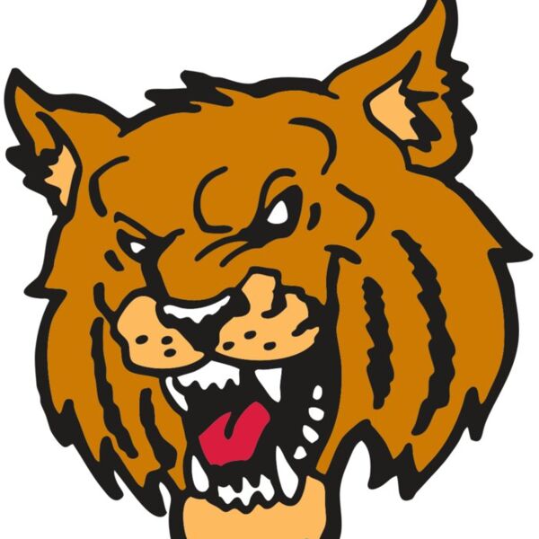 AR WILDCAT 36 RC Thumbnail