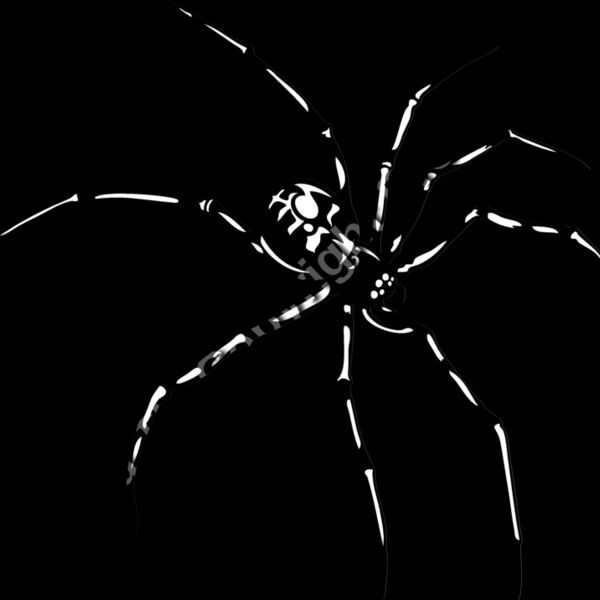 ESspider007bw Thumbnail