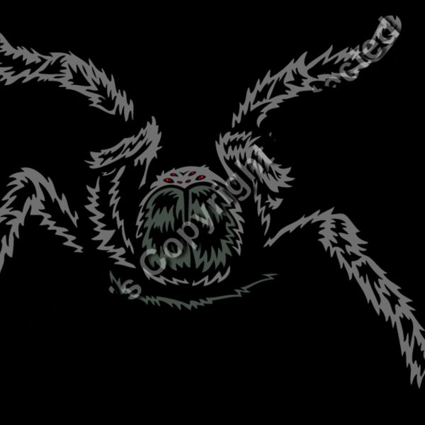 ESspider005clr Thumbnail