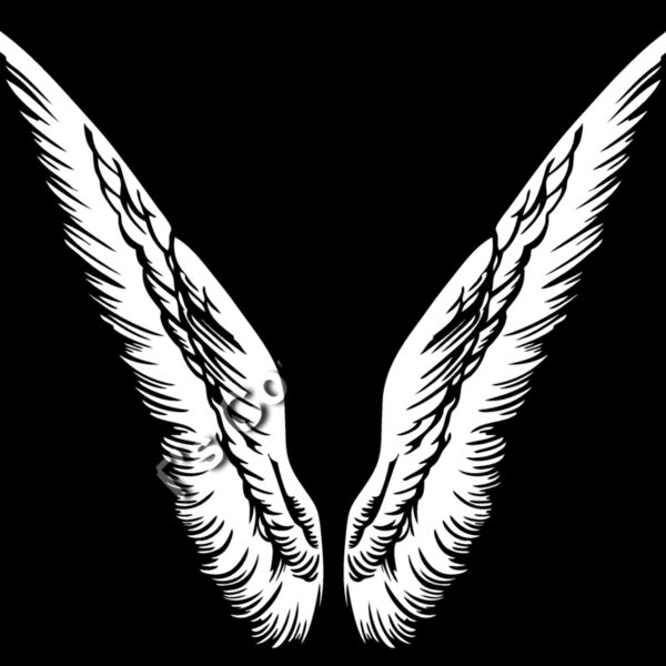 ESwings026bw Thumbnail