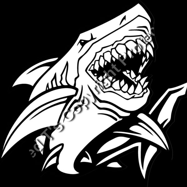 ESshark002bw Thumbnail