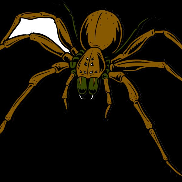 ESspider006clr Thumbnail