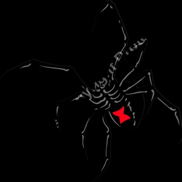 ESspider002clr Thumbnail