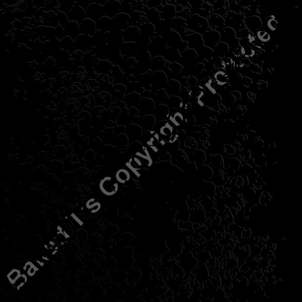 ESsplatr010bw Thumbnail