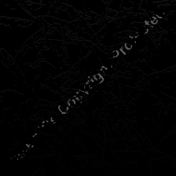 ESsplat005bw Thumbnail