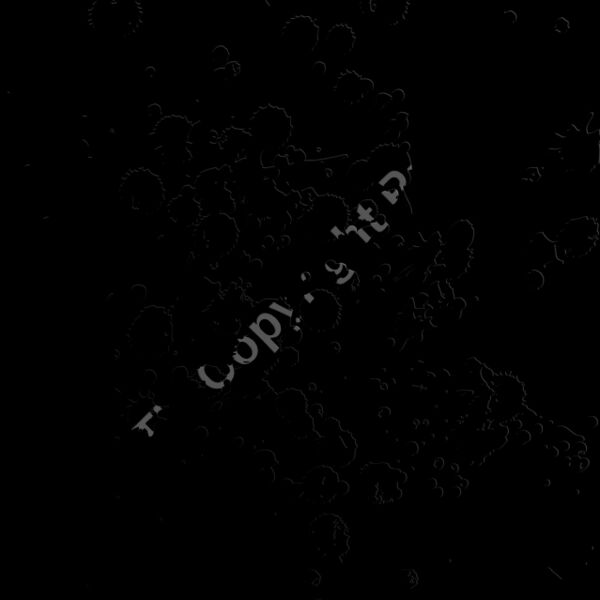 ESsplat009bw Thumbnail