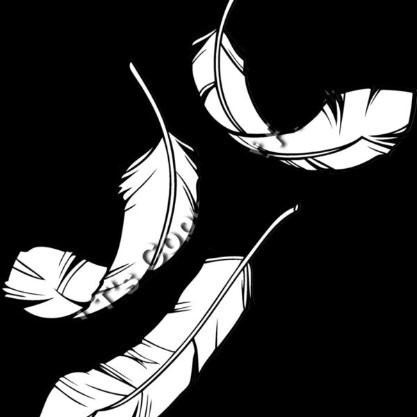 ESfeathers001bw Thumbnail