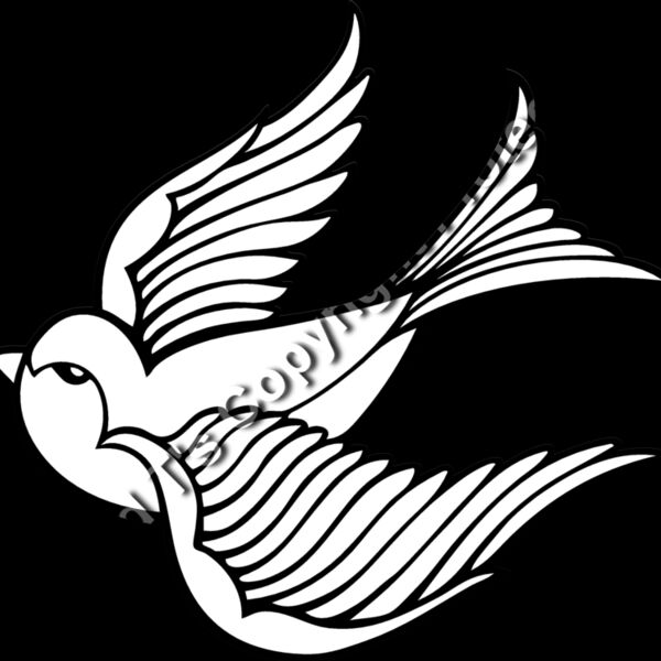 ESswallow001bw Thumbnail