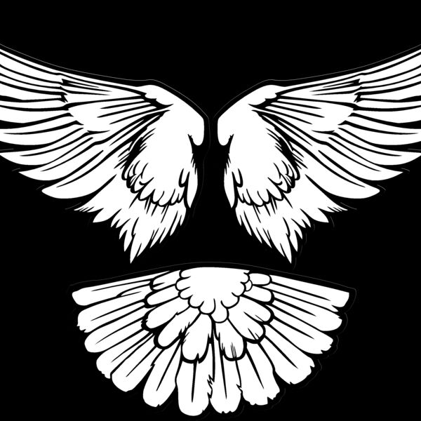 ESwings015bw Thumbnail