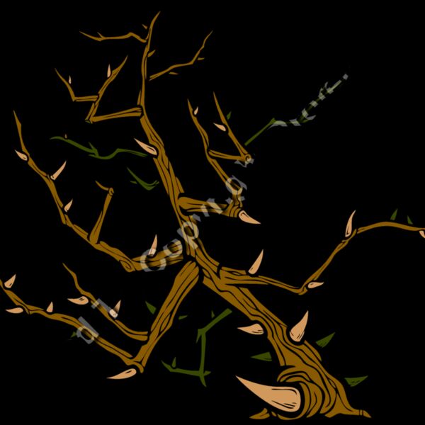 ESthorns006clr Thumbnail