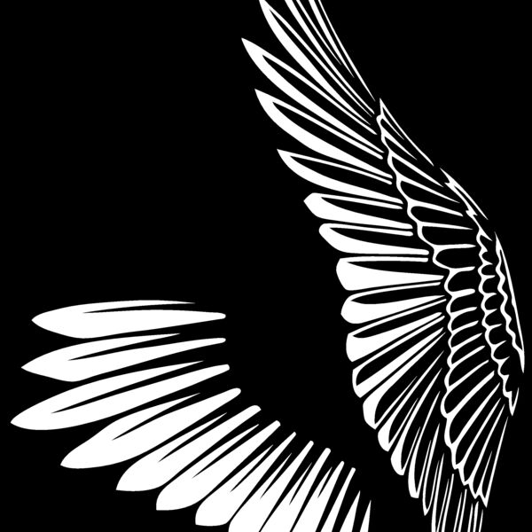 ESwings028bw Thumbnail