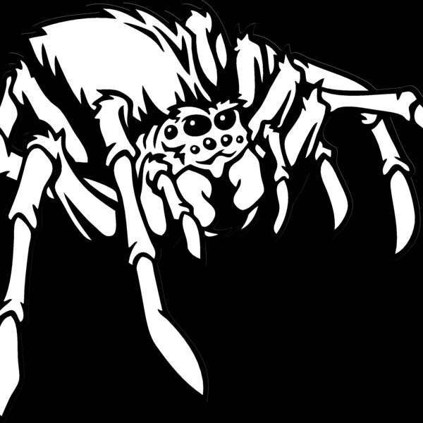ESspider001bw Thumbnail