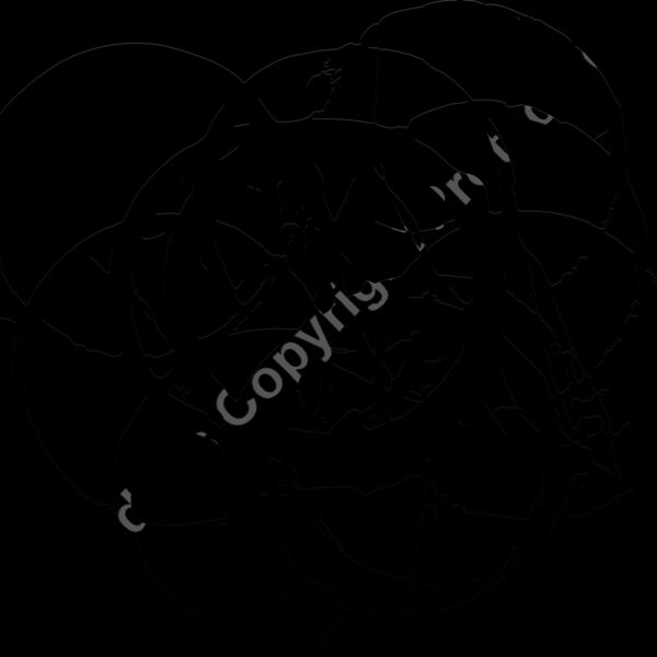 ES2splat024bw Thumbnail