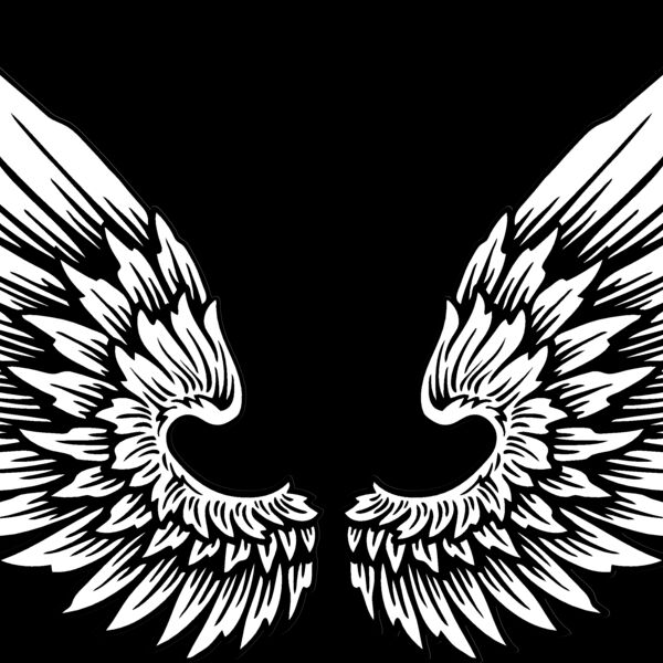 ES2wings011BW Thumbnail