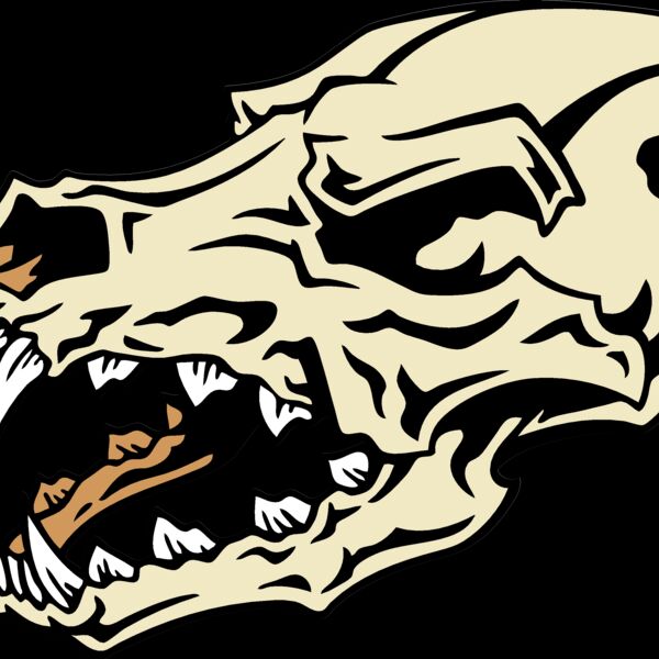 ES2skull019CLR Thumbnail