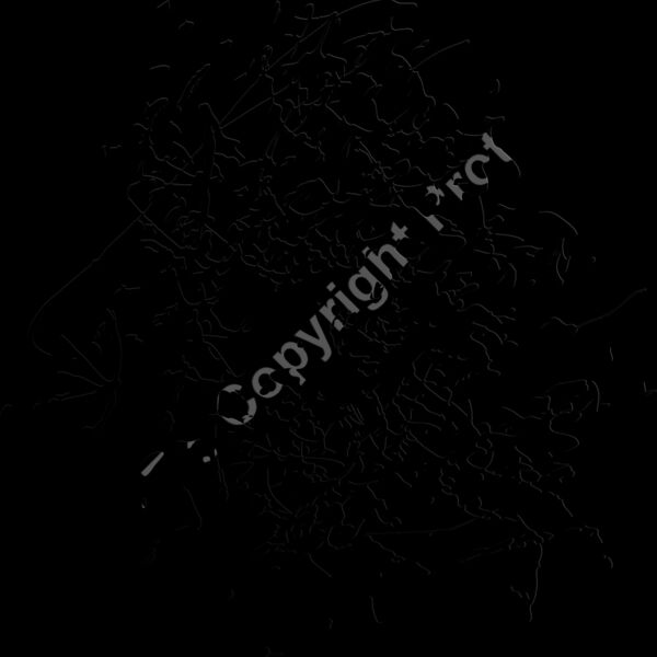 ES2splat022bw Thumbnail