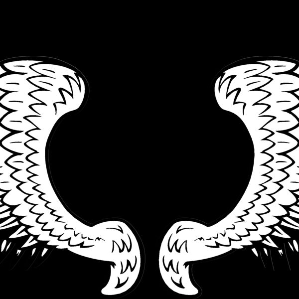 ES2wings029bw Thumbnail