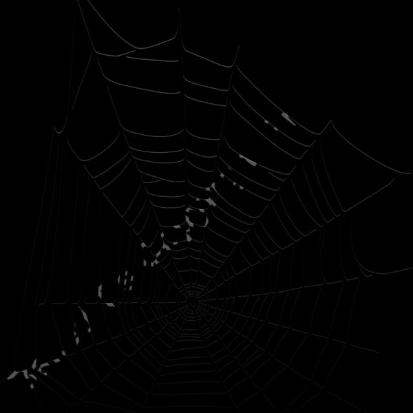 ES2web001bw Thumbnail