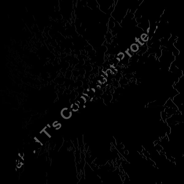 ES2splat003bw Thumbnail