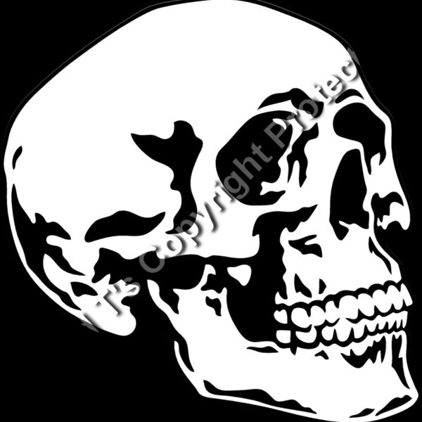 ES2skull016BW Thumbnail