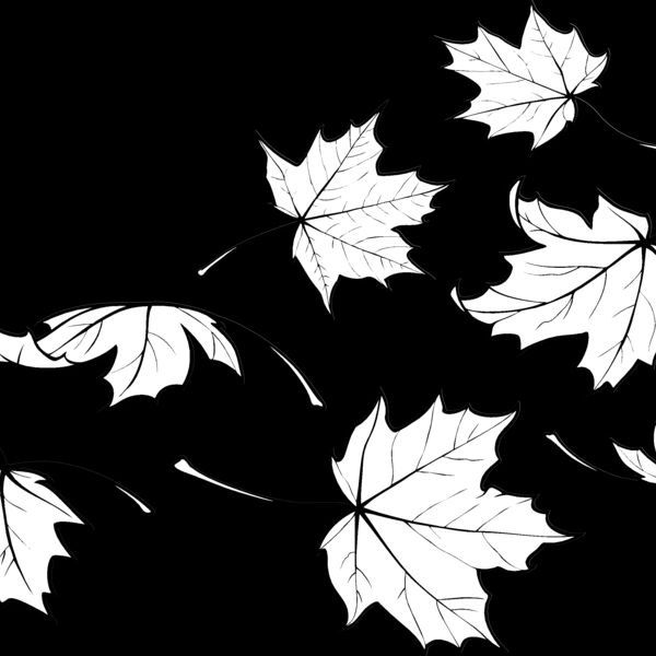 ES2leaves001bw Thumbnail