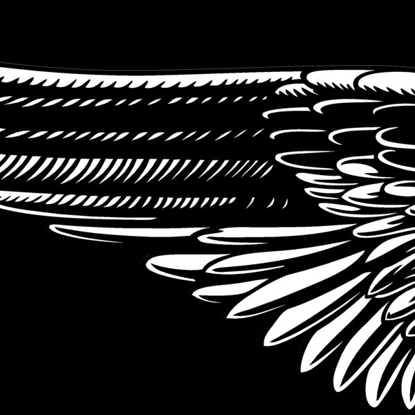 ES2wings027bw Thumbnail