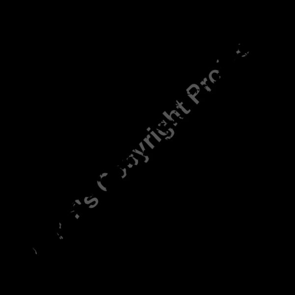 ES2splat016bw Thumbnail