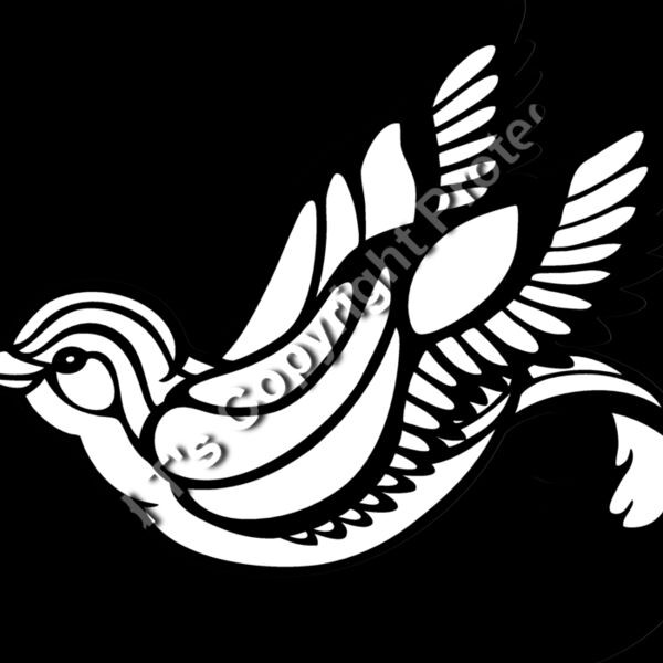 ES2swallow006bw Thumbnail