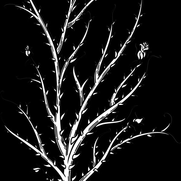ES2thorns004bw Thumbnail