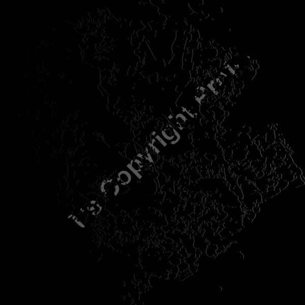 ES2splat002bw Thumbnail