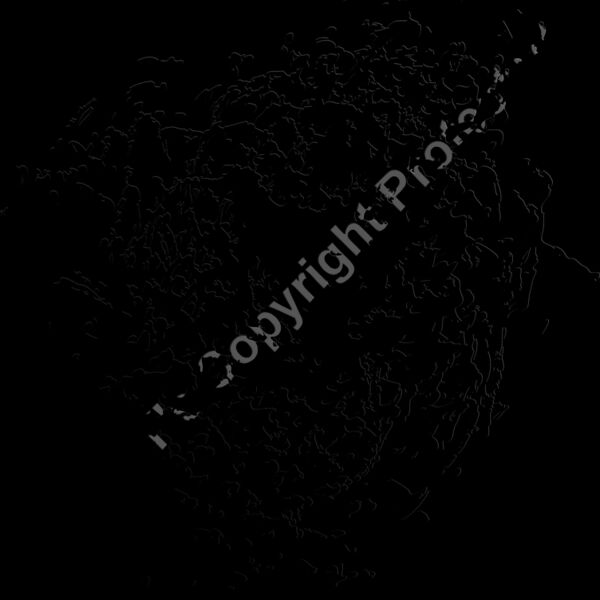 ES2splat006bw Thumbnail