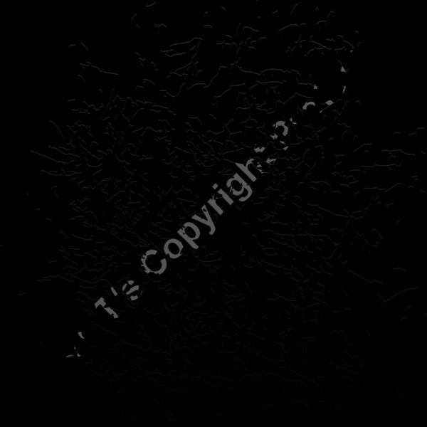 ES2splat019bw Thumbnail