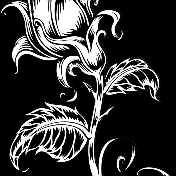 ES2rose001BW Thumbnail