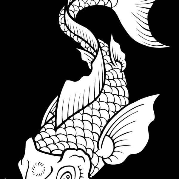 ES2asiankoi006bw Thumbnail