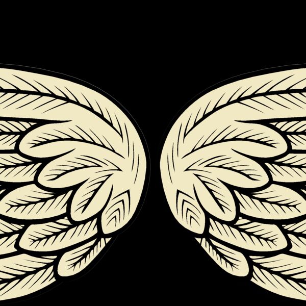 ES2wings002clr Thumbnail